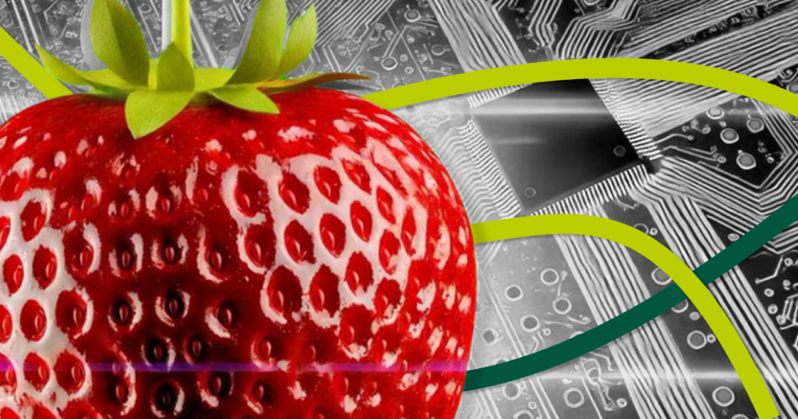 OpenAI запускає нову ШІ-модель Strawberry з покращеною якістю відповідей (оновлено)