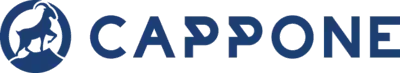 CAPPONE: КОМПЛЕКСНИЙ ПІДХІД ДО РОЗВИТКУ БРЕНДУ У ДИДЖИТАЛІ